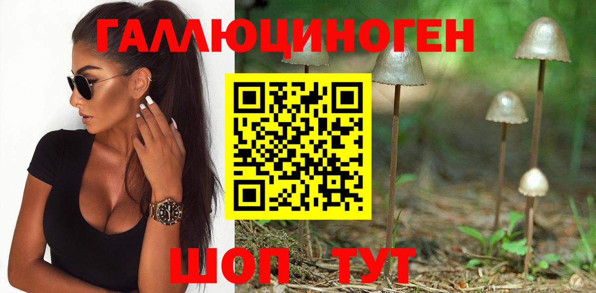Псилоцибиновые грибы прущие грибы  Вход с VPN  Гусиноозёрск 