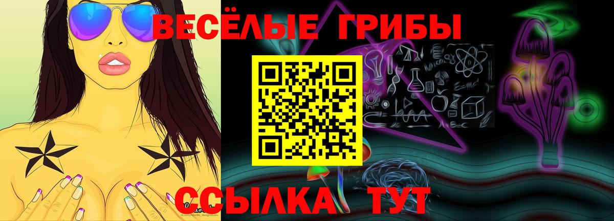 Галлюциногенные грибы Psilocybine cubensis Гусиноозёрск